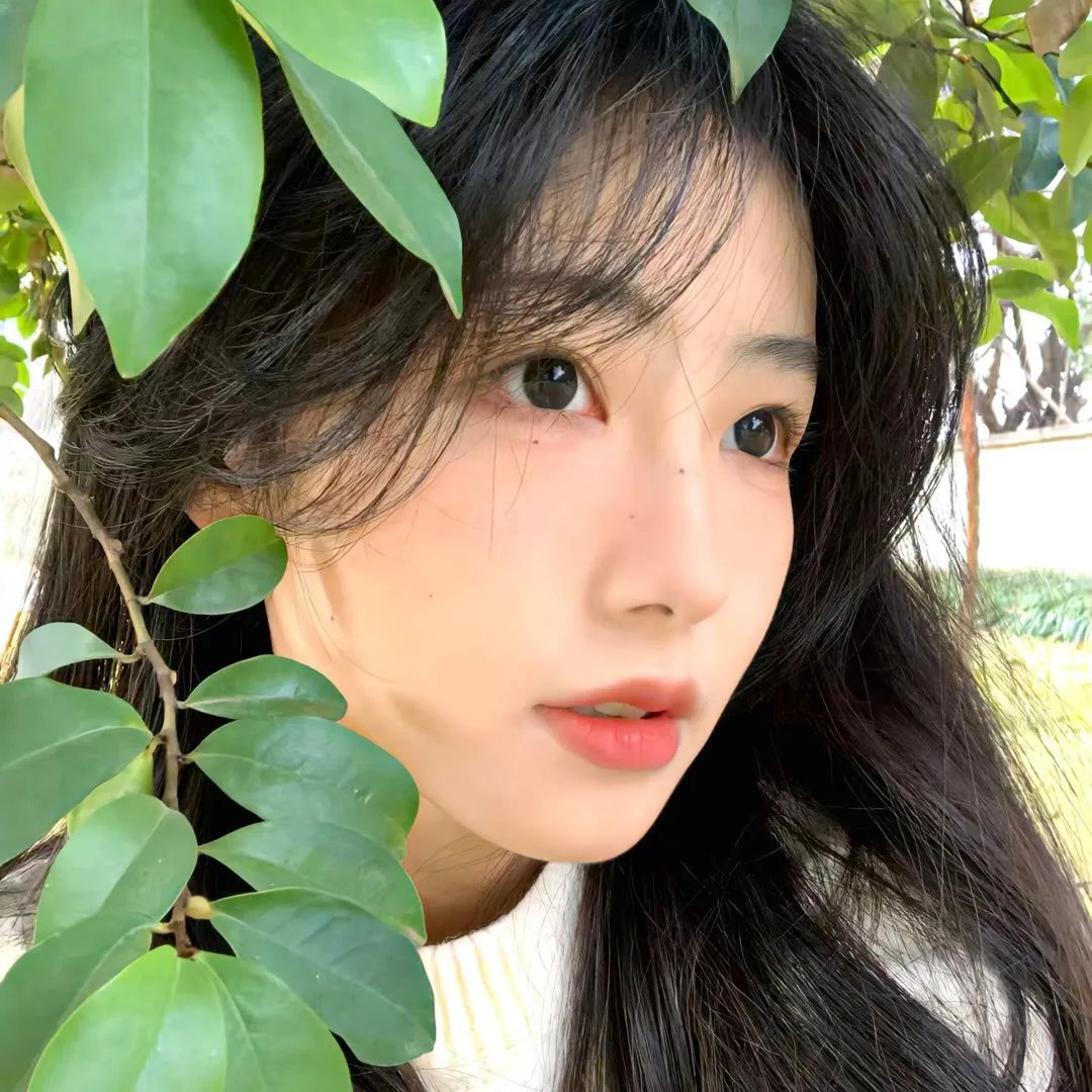 狂奔天涯